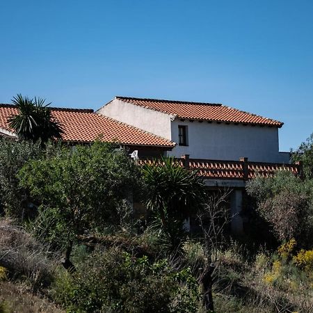 Peace And Tranquility At Montana Retreat Apartment Alora Bagian luar foto
