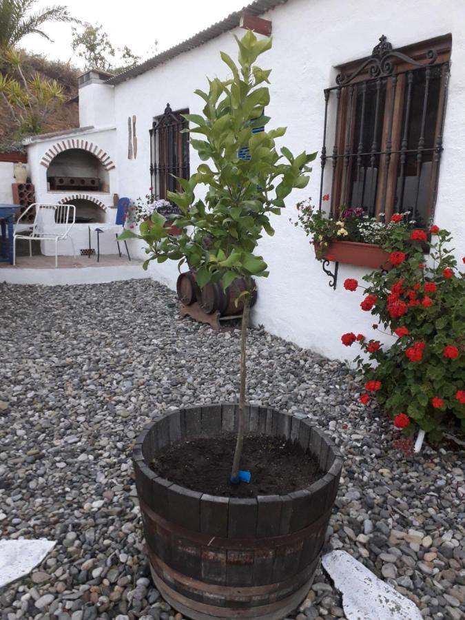 Peace And Tranquility At Montana Retreat Apartment Alora Bagian luar foto
