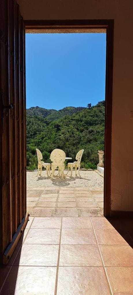 Peace And Tranquility At Montana Retreat Apartment Alora Ruang foto