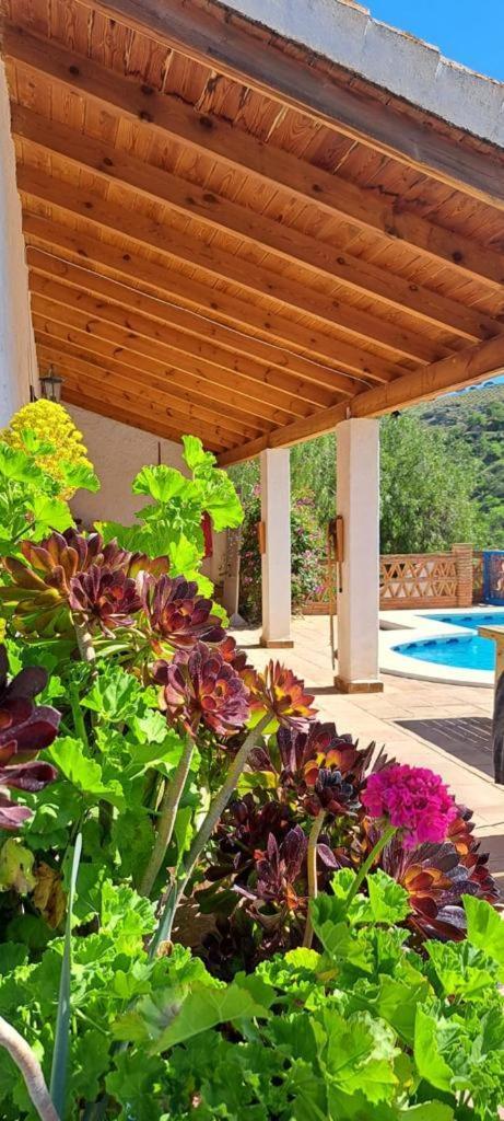 Peace And Tranquility At Montana Retreat Apartment Alora Ruang foto